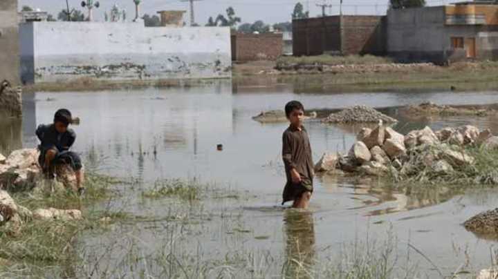 Cover image for British Red Cross Pakistan Floods Appeal