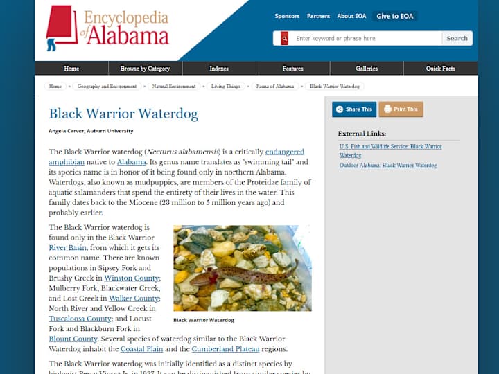 Cover image for Encyclopedia of Alabama: Black Warrior Waterdog