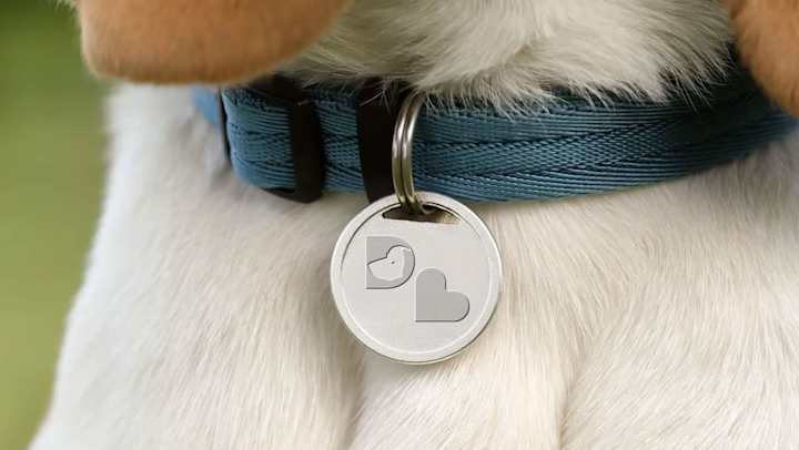 Cover image for Logo Design: Dog Love