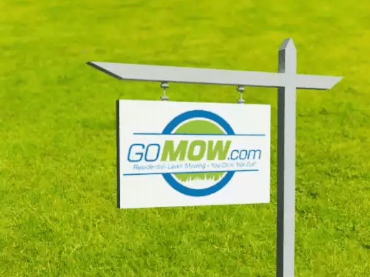 Cover image for GOMOW