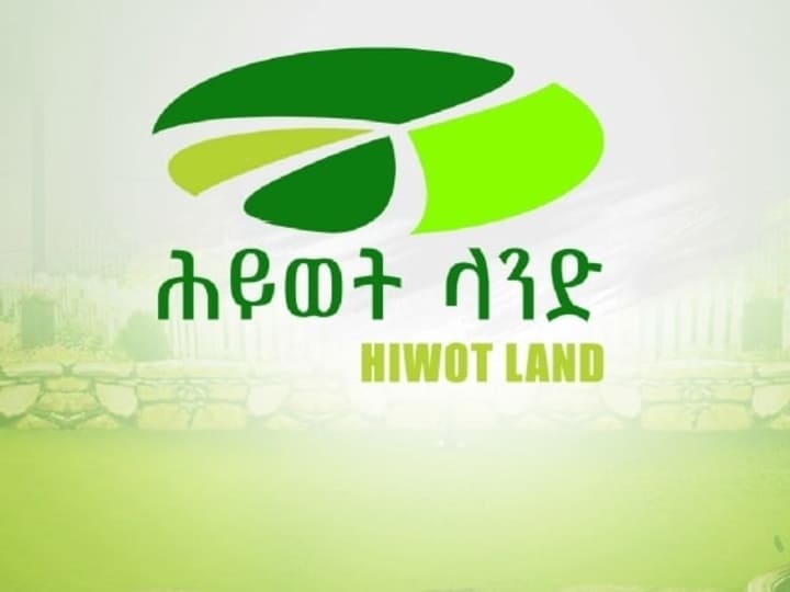 Cover image for Hiwot Land | Logo and Brand Identity Design