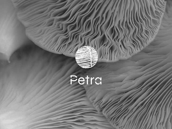 Cover image for PETRA - INTERIOR DESIGN