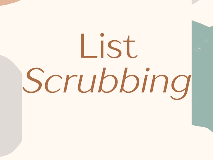 Cover image for Data Scrubbing