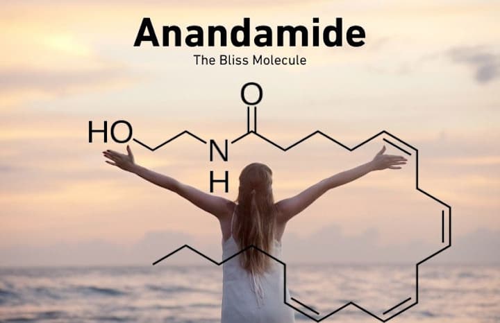 Cover image for What is Anandamide and Why is it The Bliss Molecule?