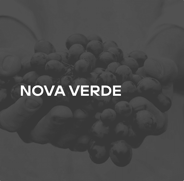 Cover image for NOVA VERDE