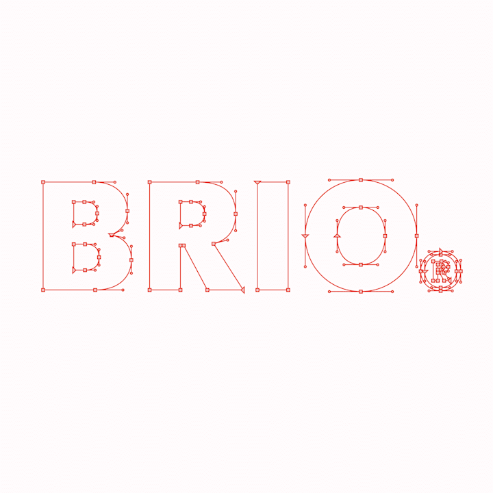 Cover image for Identity for Brio®