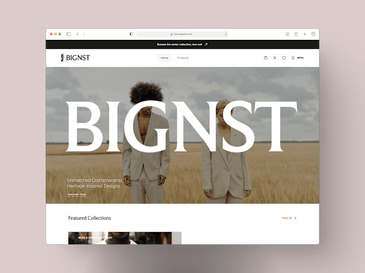 Cover image for Bignst E-commerce Website Design