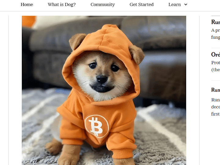 Cover image for Dog – Dog | Digital Asset Powered by the Bitcoin Blockchain | $…