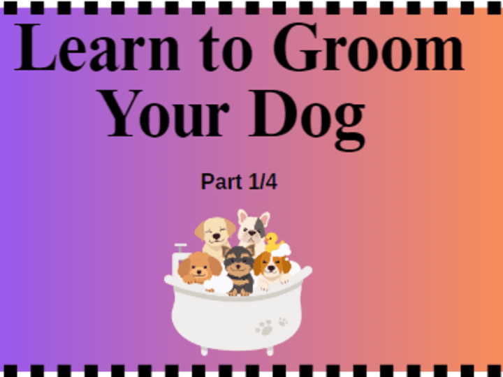 Cover image for Learn to Groom Your Dog (Part 1/4): Short Coats