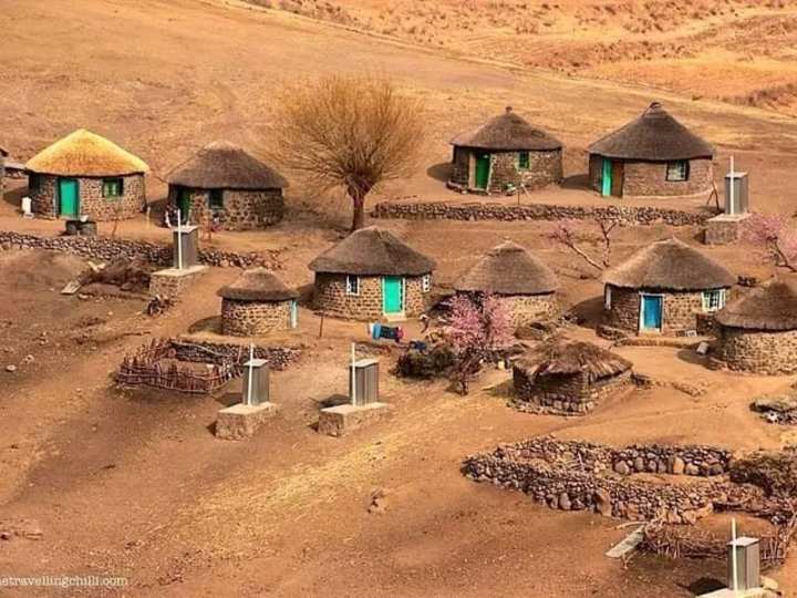 Cover image for MY AFRICA