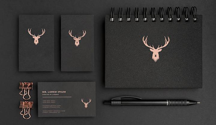 Cover image for Pictorial /Abstract Logo on Behance