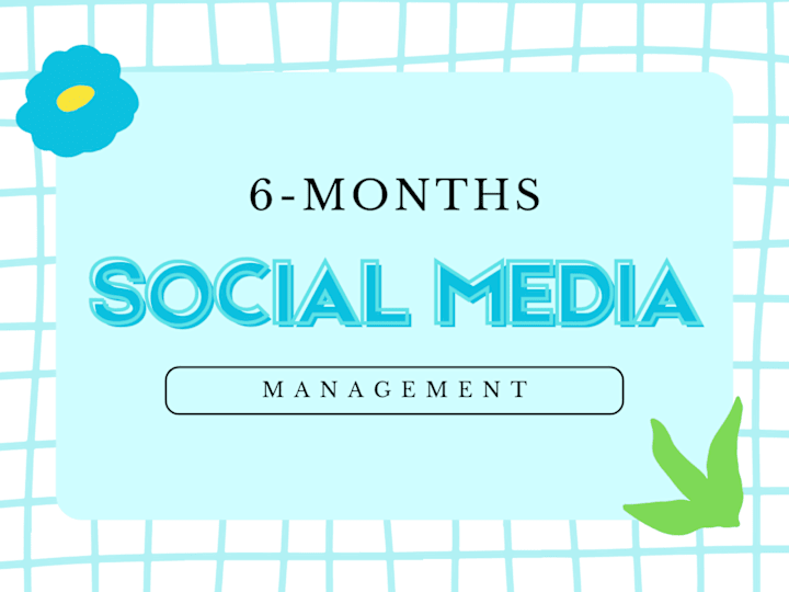 Cover image for Social Media Management (6 Months)