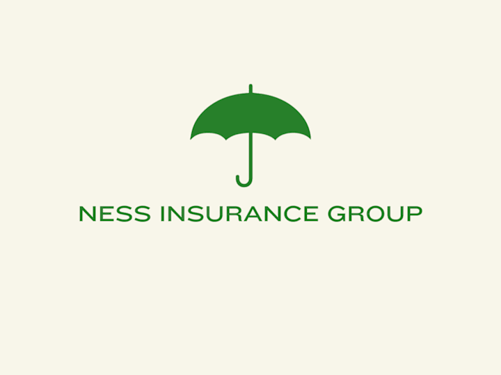 Cover image for Content Creation for Ness Insurance Group