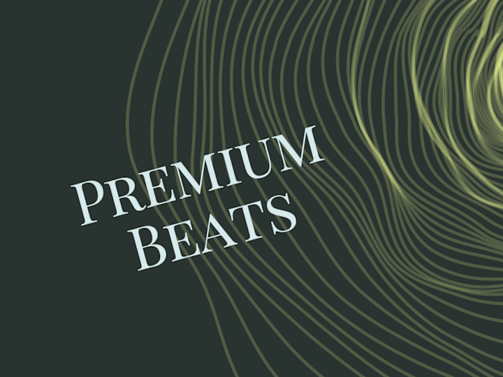 Cover image for Professional Beats for commercial use