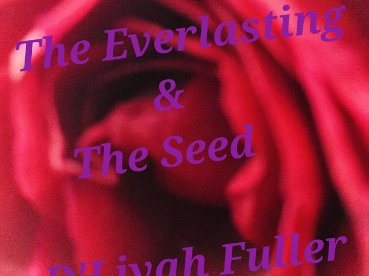 Cover image for The Everlasting and The Seed