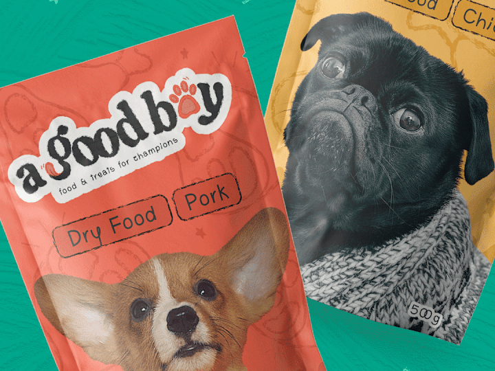Cover image for A Good Boy