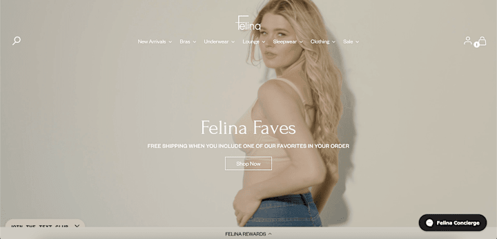 Cover image for Felina