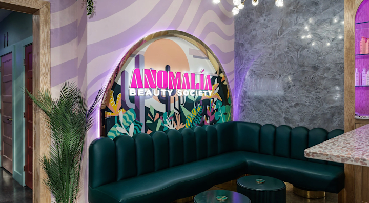 Cover image for Anomalía Society