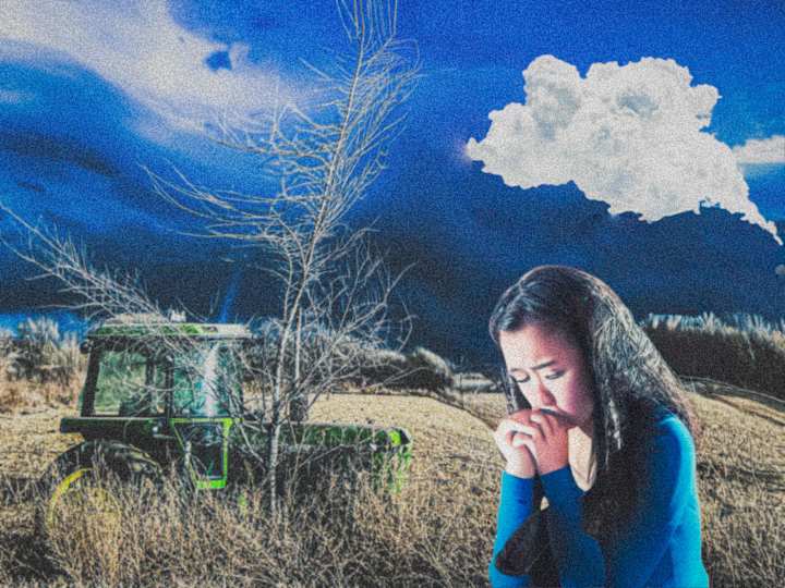 Cover image for Rural Dreams 