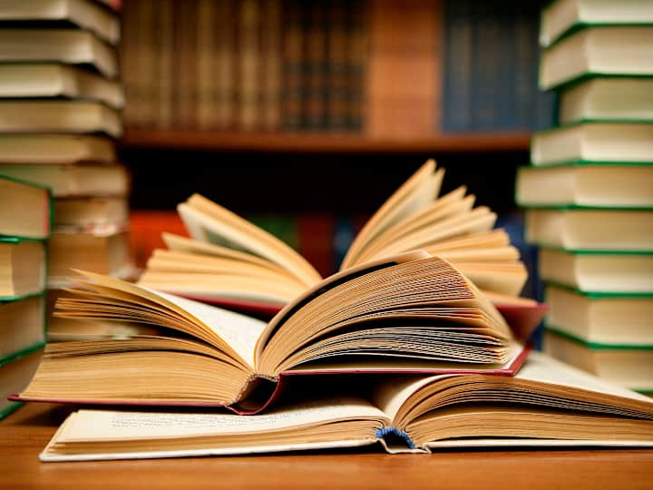 Cover image for LITERATURE WORK