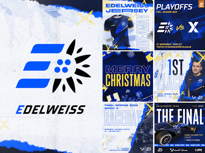 Cover image for Edelweiss Esport Club 🎮