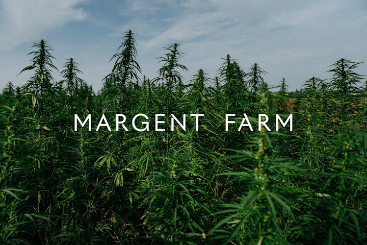 Cover image for Margent Farm — Rita Juarez