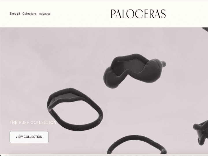 Cover image for Paloceras