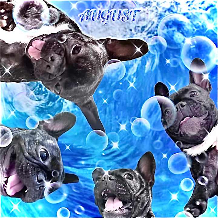 Cover image for Pet Calendar’s ;P (graphic design)