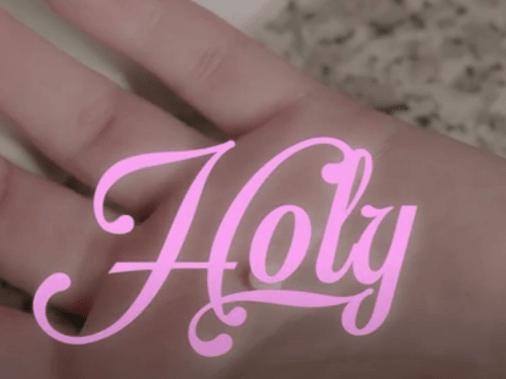 Cover image for Holy