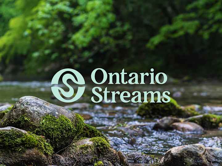 Cover image for Ontario Streams