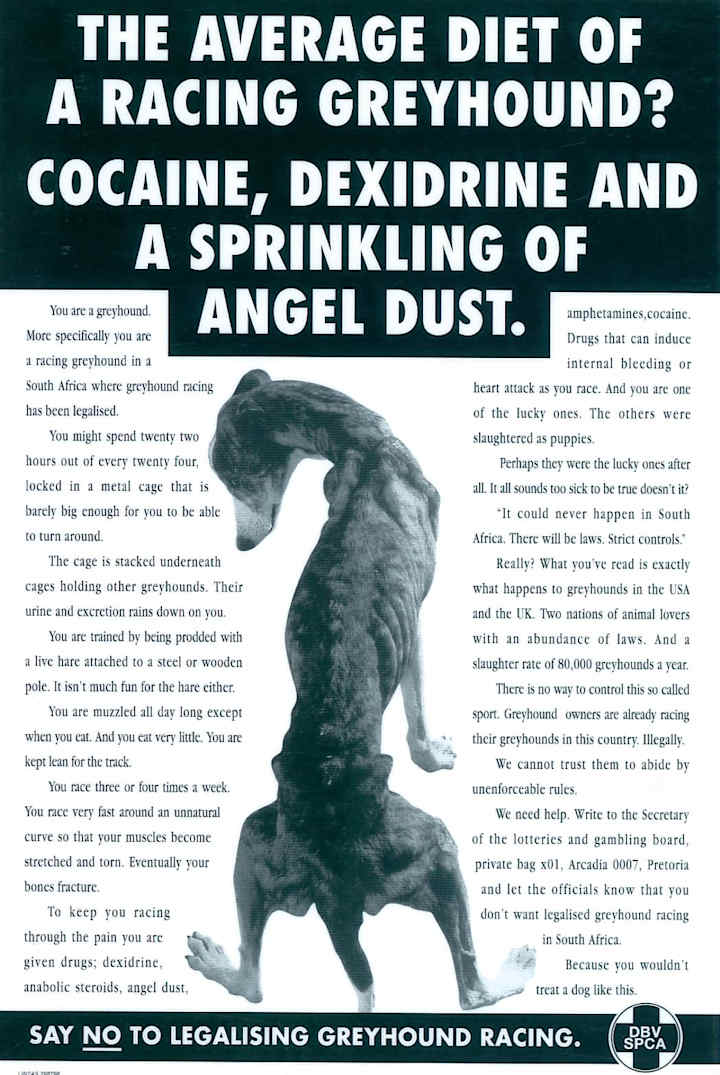 Cover image for Campaign to ban Greyhound Racing