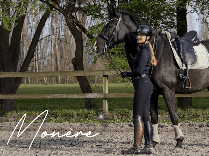 Cover image for Customizer for luxury Equestrian brand