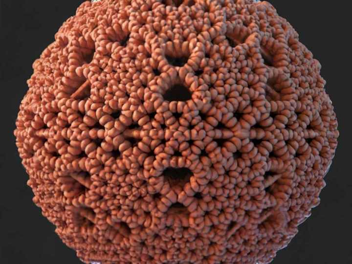 Cover image for GitHub - murtazahh/3D-Mesh-Simplification-Toolkit