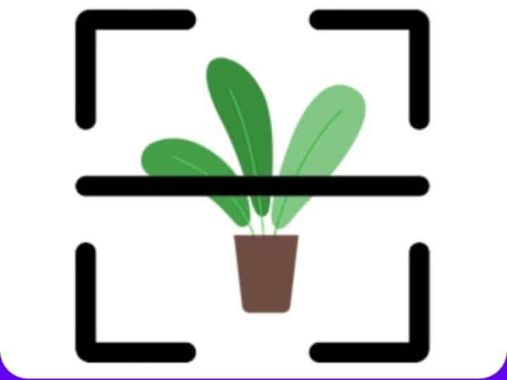 Cover image for Plant Dieases Detection app