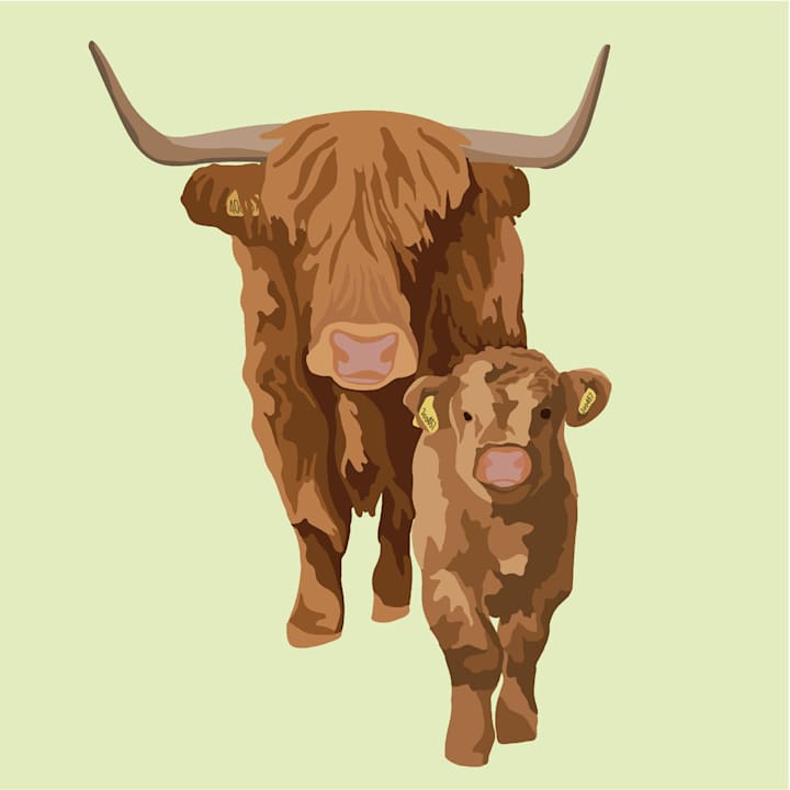 Cover image for Animal Portrait Commissions 