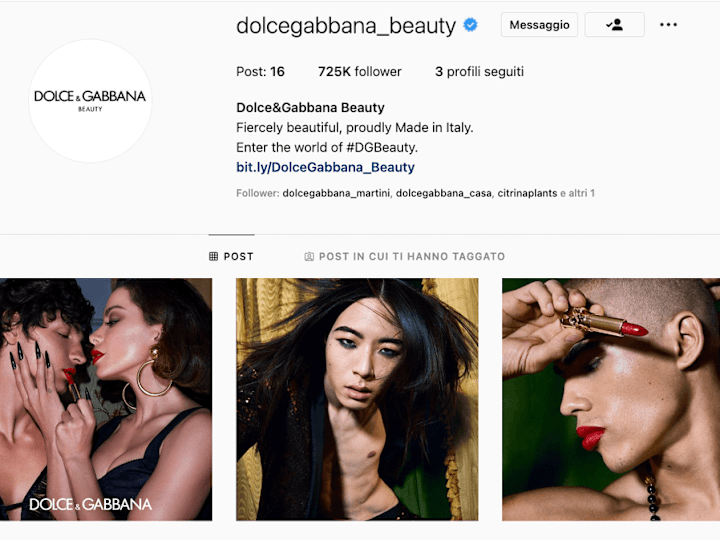 Cover image for Dolce&Gabbana Instagram profiles (ENG)