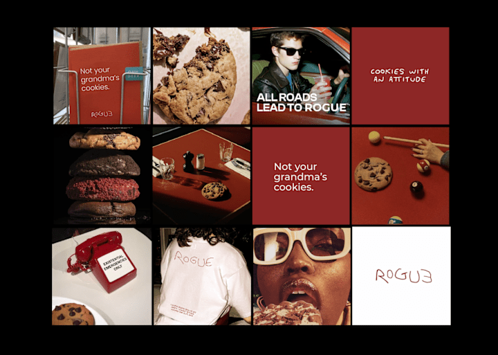 Cover image for Rogue