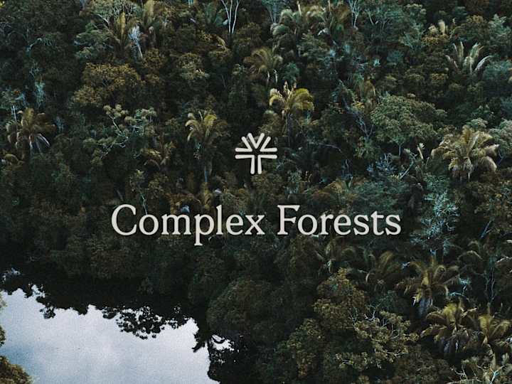 Cover image for Complex Forests