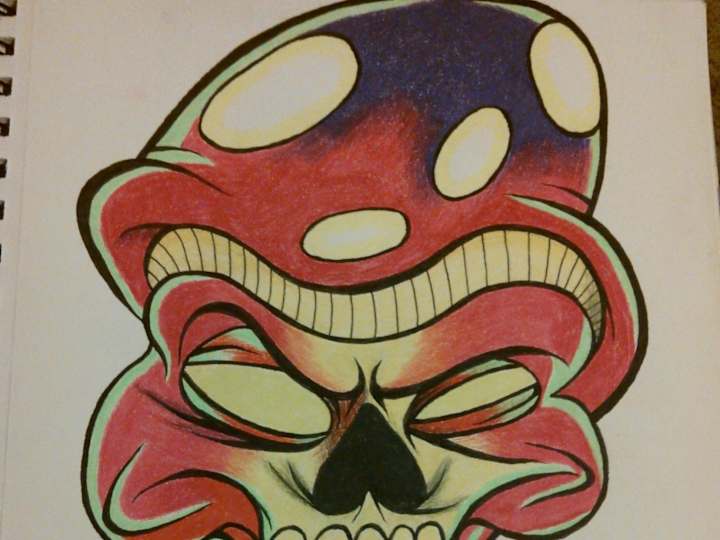Cover image for Mushroom Skull