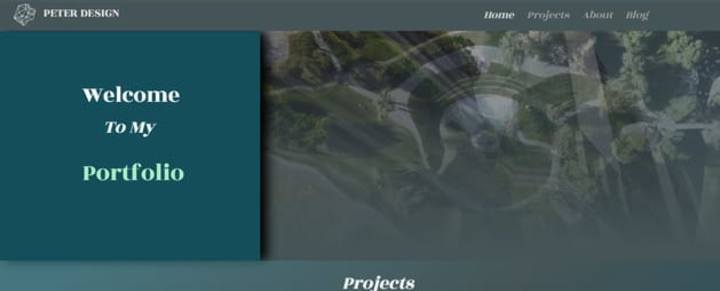 Cover image for Web Design WIX