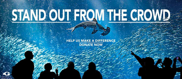 Cover image for Georgia Aquarium Marketing 