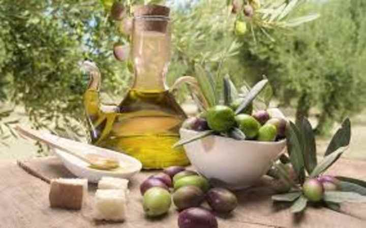 Cover image for Healthy Living SEO Blog:
