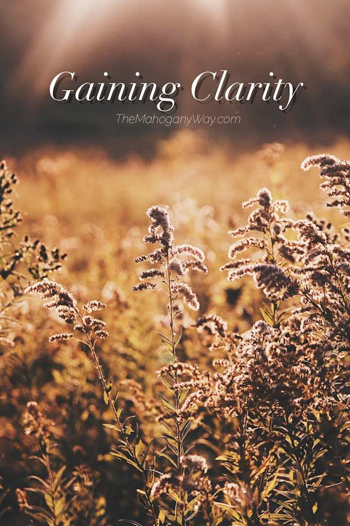 Cover image for Gaining Clarity — The Mahogany Way