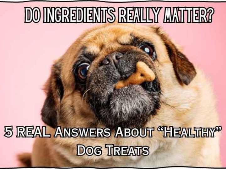 Cover image for 5 Real Answers About “Healthy” Dog Treats