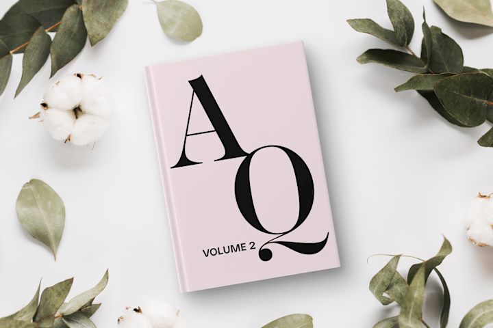 Cover image for The AQ Book Volume II