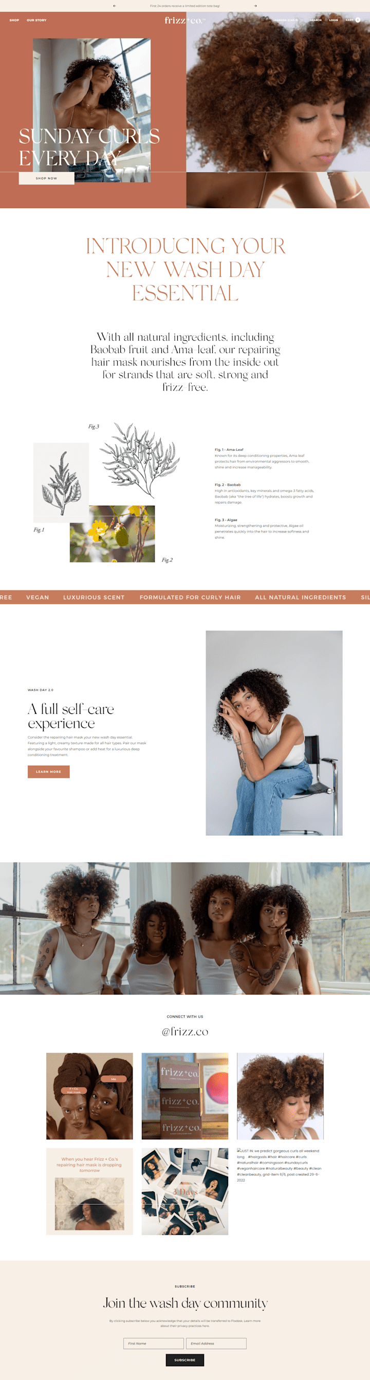 Cover image for Frizz + Co