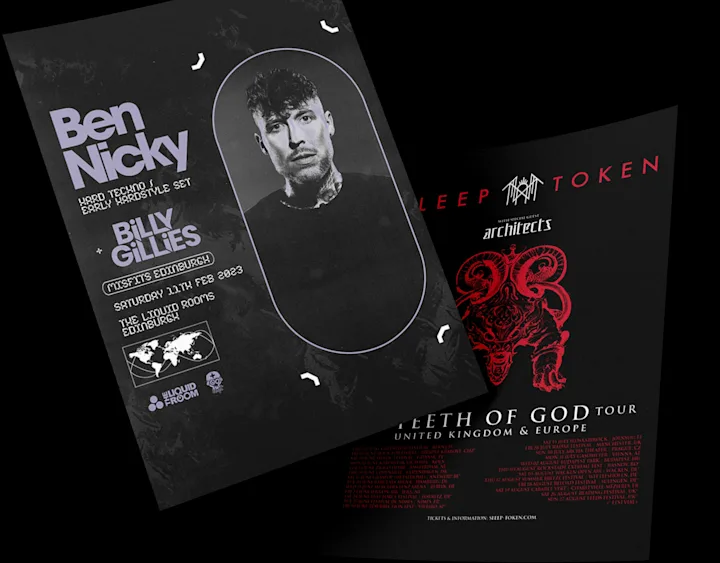 Cover image for Flyers