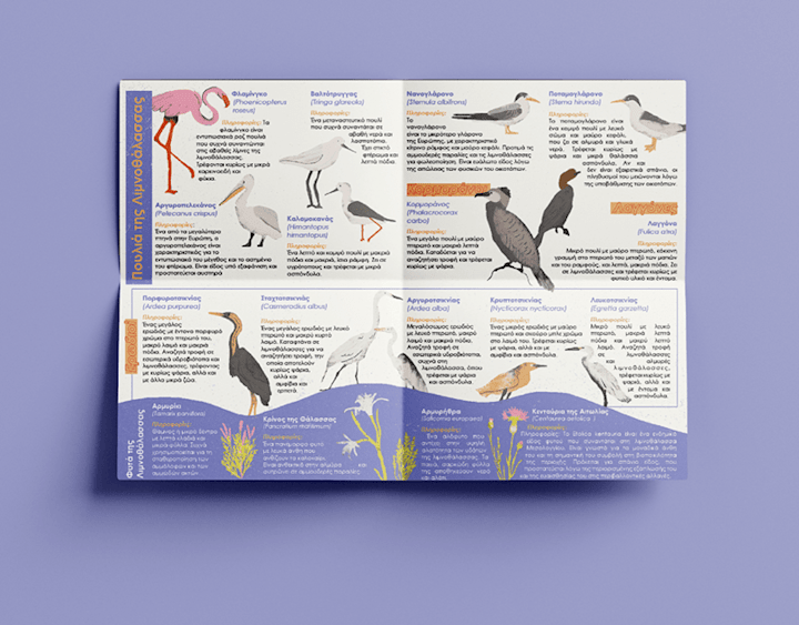 Cover image for Illustrated Nature Guide On Wildlife & Flora 