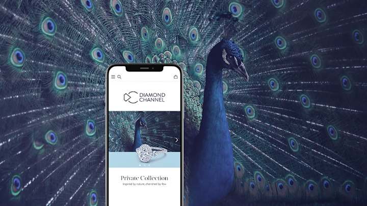 Cover image for Online Snapshot