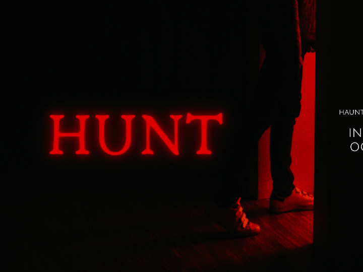 Cover image for The Hunt